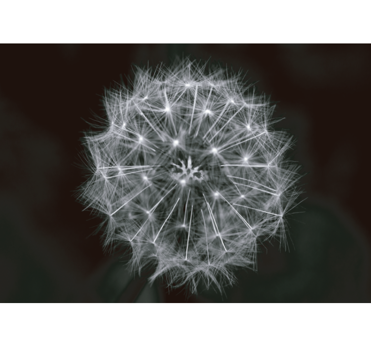 Paardenbloem woonkamer behang mit grijs blowball - TenStickers