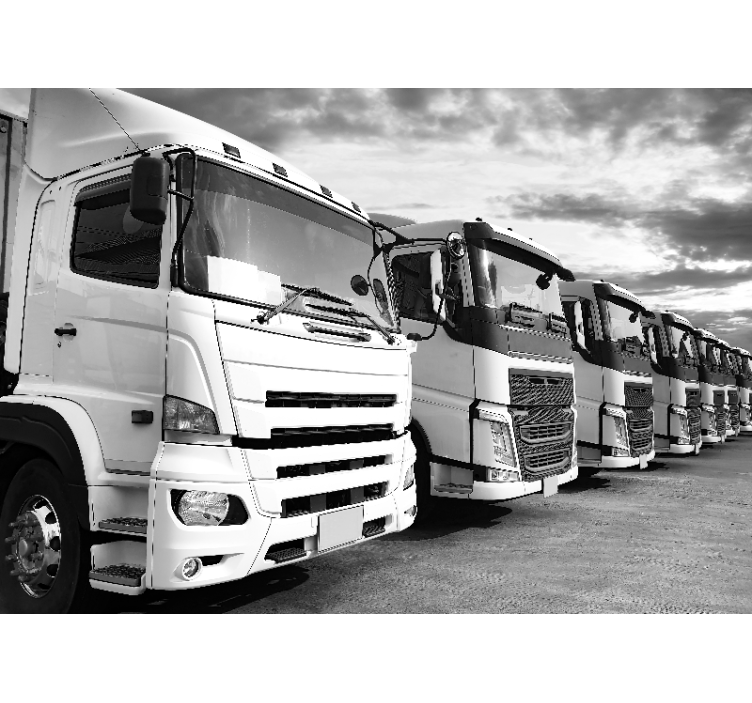 Fotobehang voertuigen trucks lijnup - TenStickers