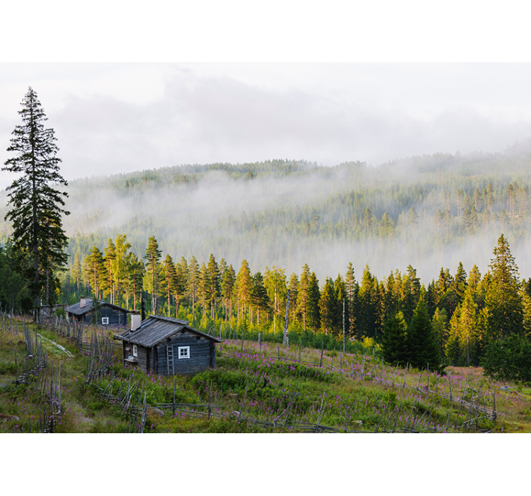 Mist bedekt bos fototapet landschap - TenStickers