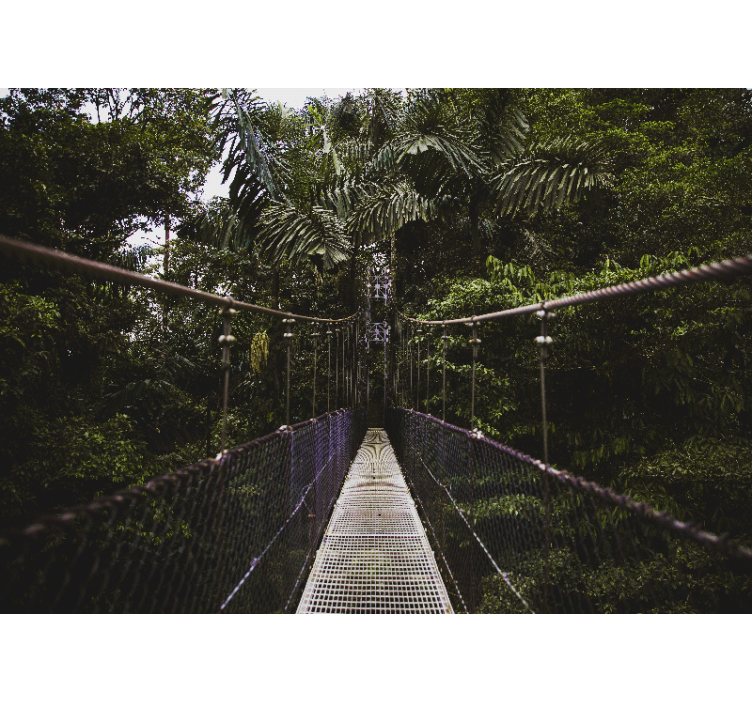 Hangbrug avontuur fotobehang natuur - TenStickers