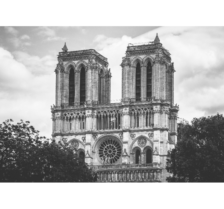 Notre dame kathedraal fotobehang Parijs - TenStickers