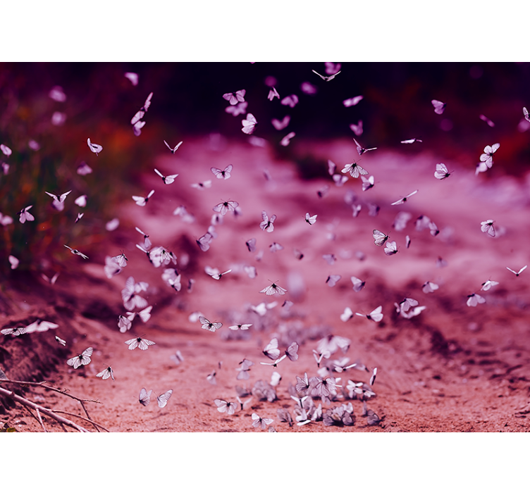 Delicate vlinderdans bloemen foto behang - TenStickers