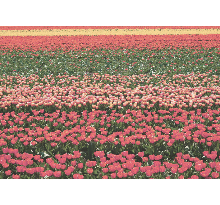 Bloemen foto behang tulpenveld landschap - TenStickers