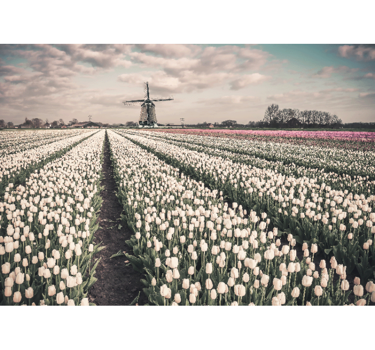 Bloemen foto behang tulpenveld landschap - TenStickers