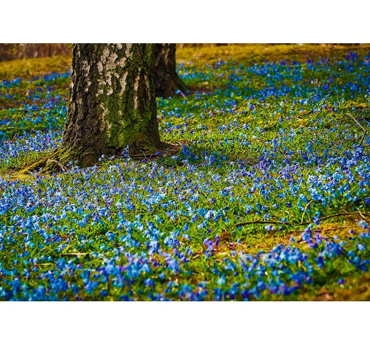 Bloemen foto behang blauwebellengte scène - TenStickers