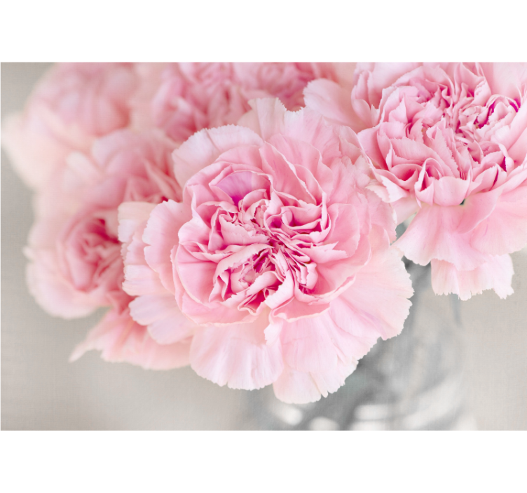 Bloemen foto behang prachtige roze bloesems - TenStickers