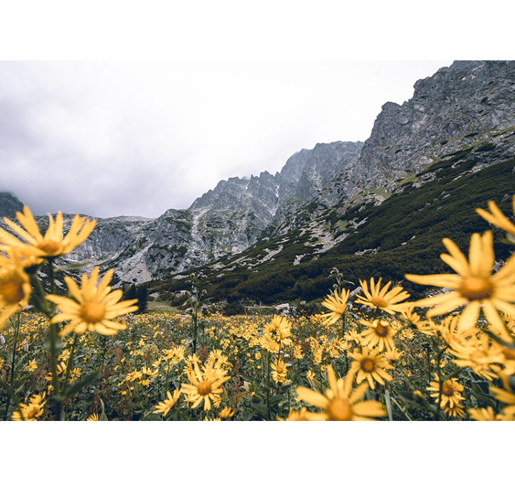 Bloemen foto behang gele bloemenweide - TenStickers