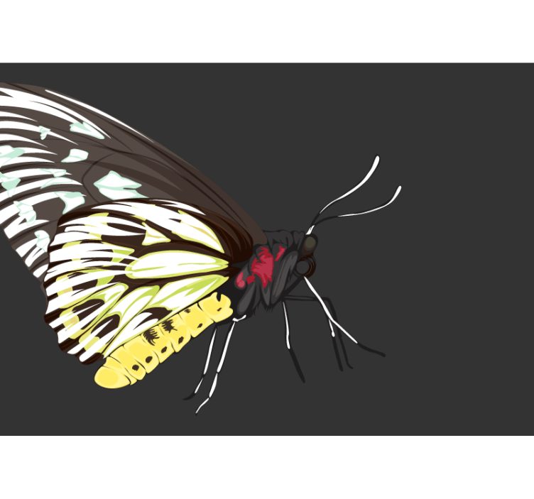 Geel vlinderontwerp fototapet - TenStickers