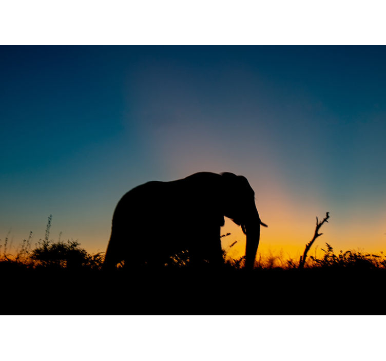 Foto behang dieren olifant silhouet zonsondergang - TenStickers