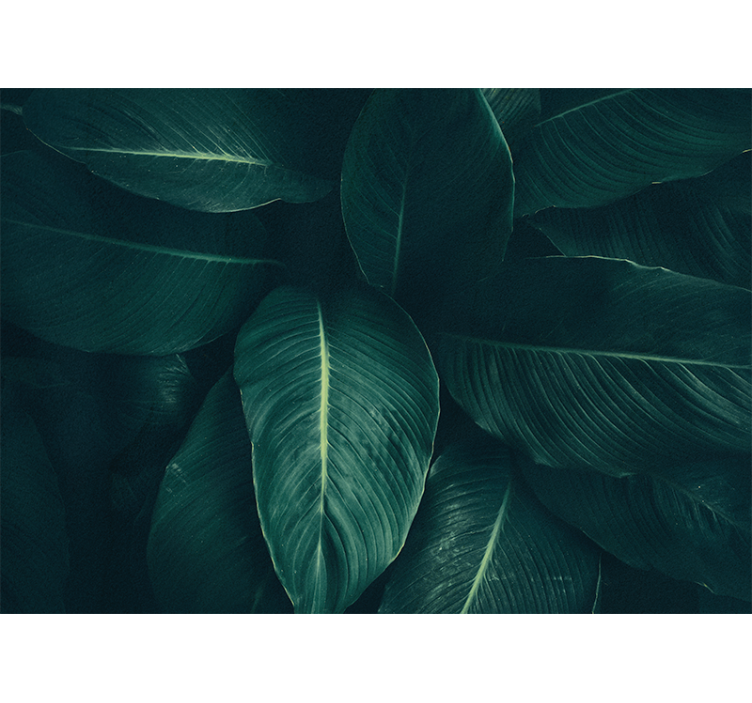 Fotobehang natuur weelderige bladenstructuur - TenStickers