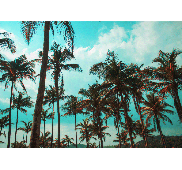 Fotobehang natuur palm trees paradijs - TenStickers