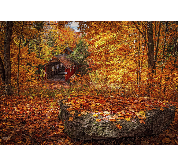 Fototapet landschap herfst brug - TenStickers