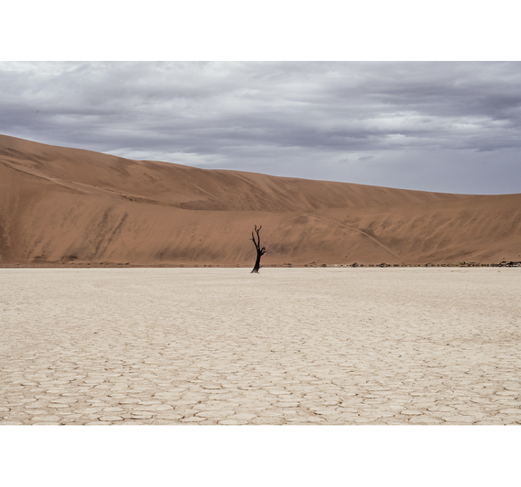 Fotobehang bergen woestijnlandschap uitzicht - TenStickers