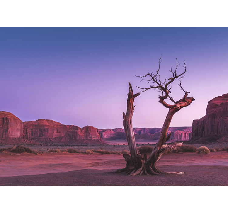 Fototapet landschap woestijnstenen structuur - TenStickers