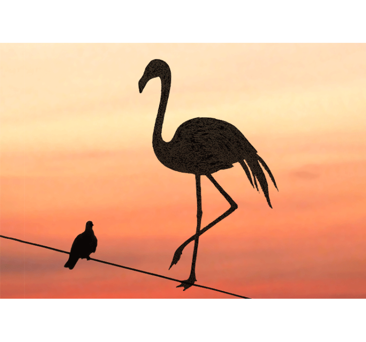 Sierlijke flamingo zonsondergang foto behang dieren - TenStickers