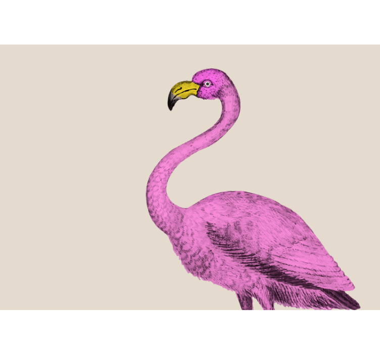 Foto behang dieren flamingo elegantie - TenStickers
