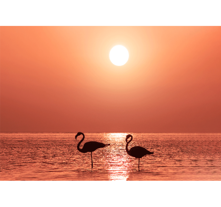 Foto behang dieren flamingo zonsondergang scene - TenStickers