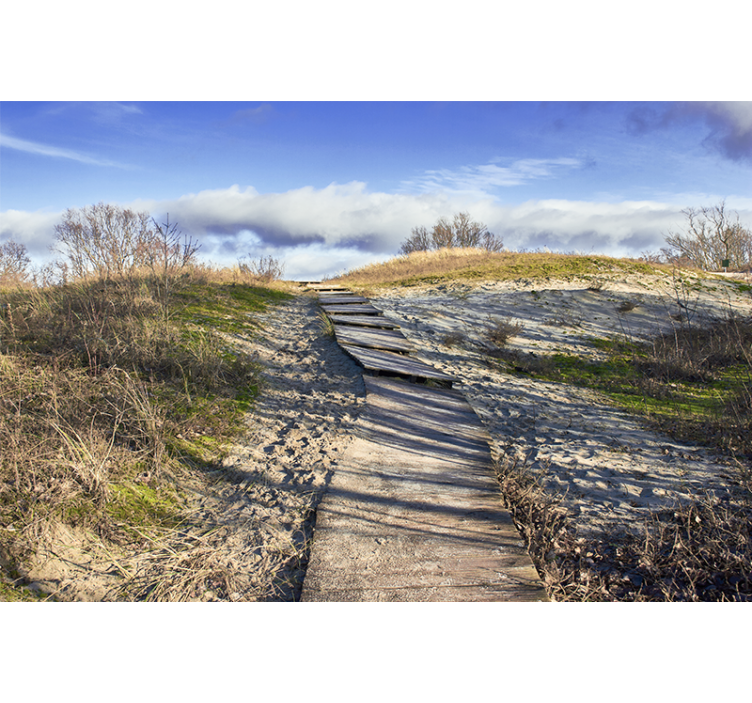 Fototapet landschap houten pad landschap - TenStickers
