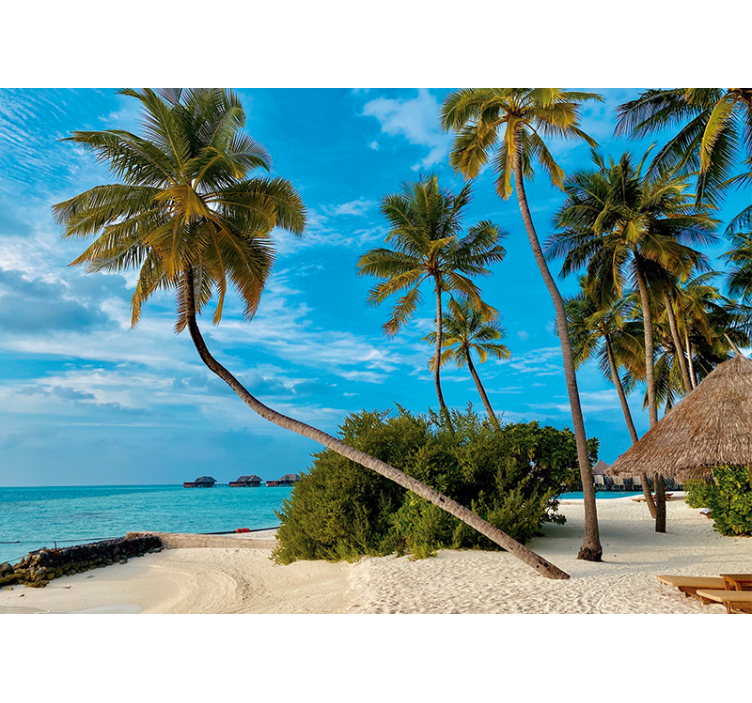 Fotobehang natuur tropisch palm landschap - TenStickers