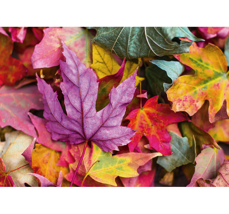 Bloemen foto behang kleurrijke bladeren patronen - TenStickers