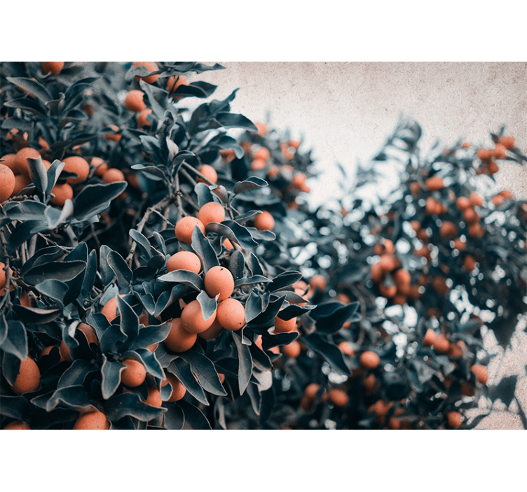 Bloemen foto behang citrusvruchten tak - TenStickers