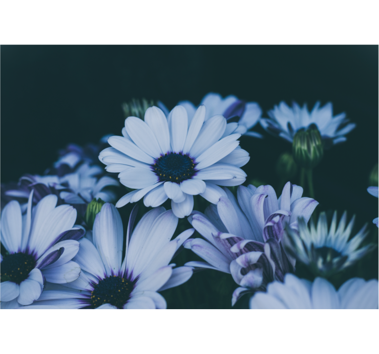 Bloemen foto behang serene bloemenarrangement - TenStickers