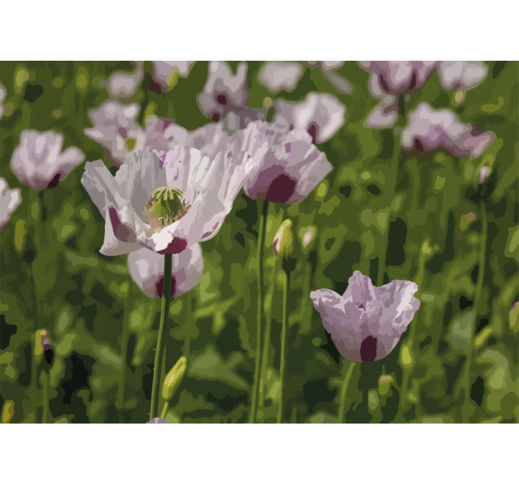 Fotobehang klaprozen bloemige eleganties - TenStickers