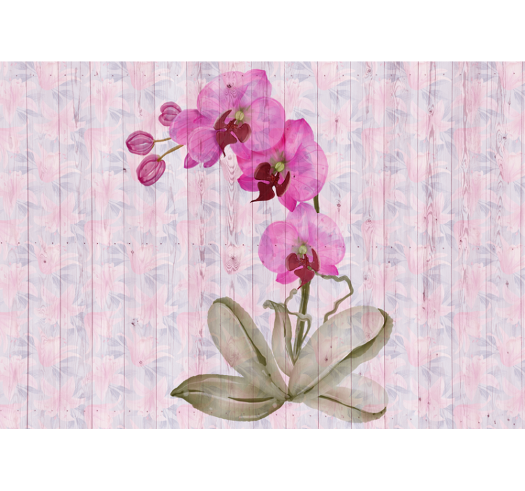 Bloemen foto behang roze orchideeën bloesem - TenStickers
