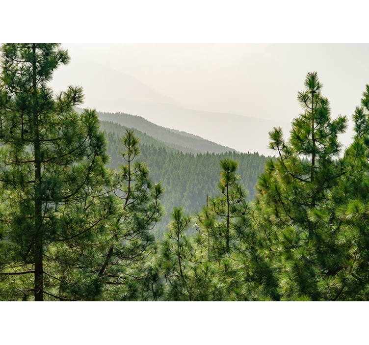 Fotobehang natuur weelderig groen landschap - TenStickers