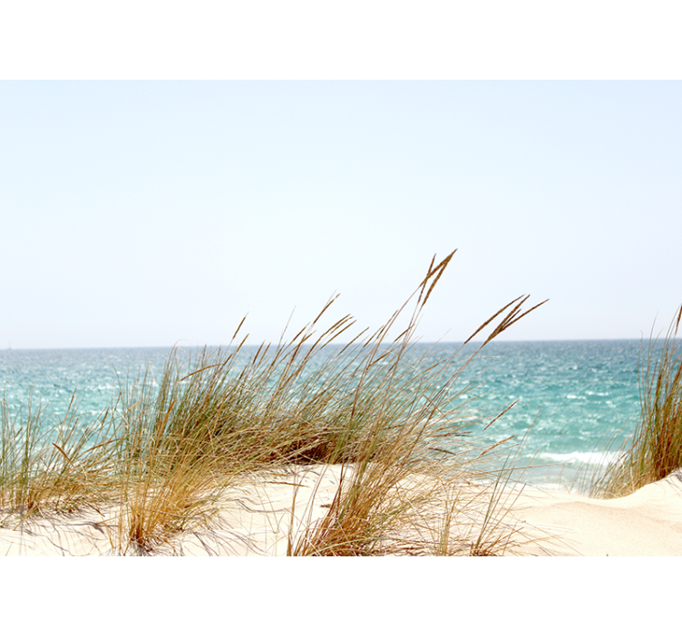 Fotobehang natuur rustige kustlijn uitzicht - TenStickers