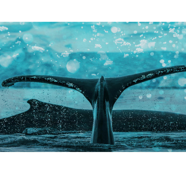 Foto behang dieren walvissenstaart spetter - TenStickers