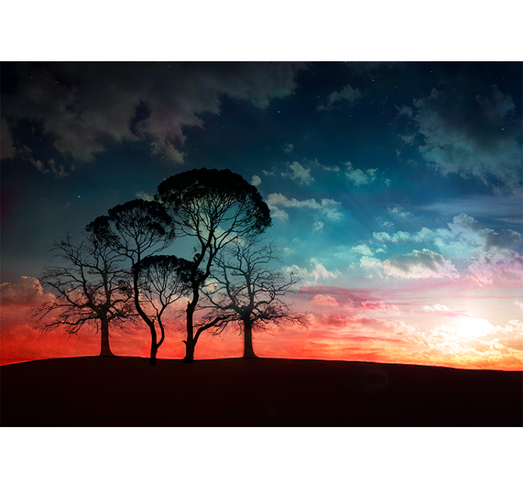 Foto behang bomen silhouetboom zonsondergang - TenStickers