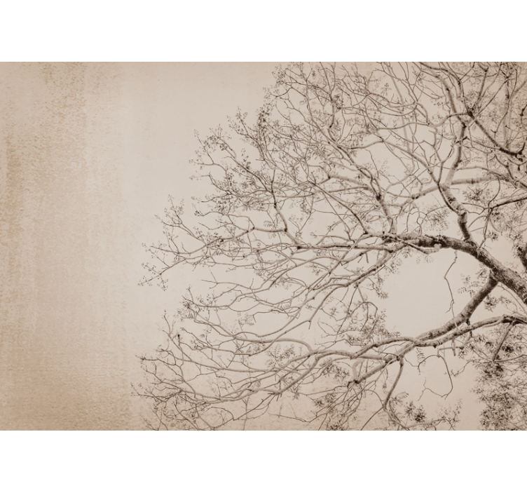 Foto behang bomen mooie takken silhouet - TenStickers