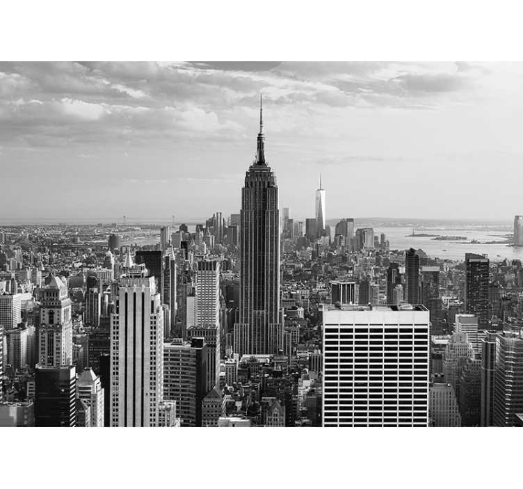 Fotobehang new york empire state stadslandschap - TenStickers