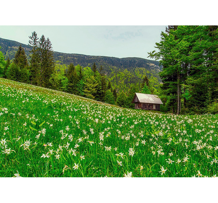 Fotobehang natuur serene pastorale landschap - TenStickers
