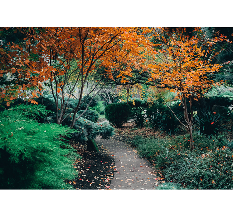 Fotobehang natuur pad tussen bomen - TenStickers