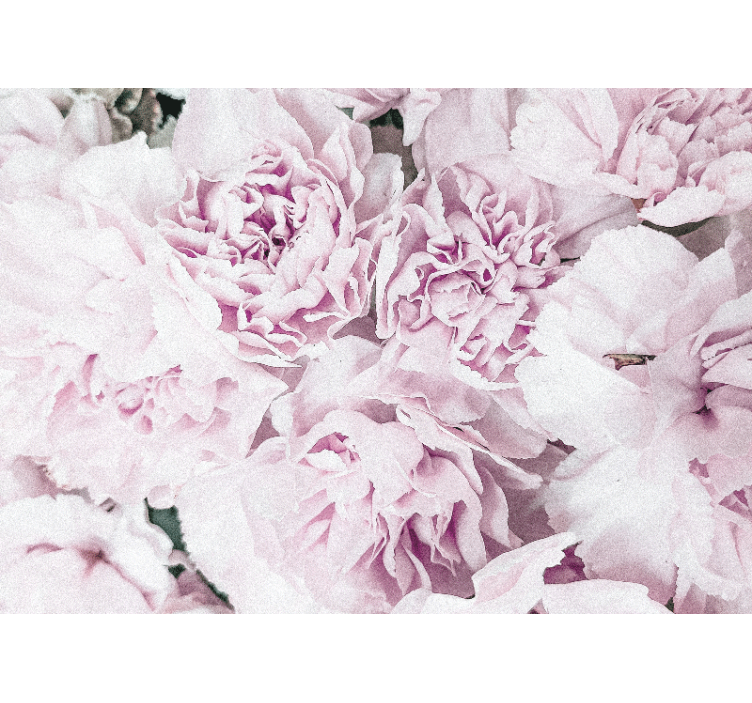 Bloemen foto behang zachte roze bloesems - TenStickers