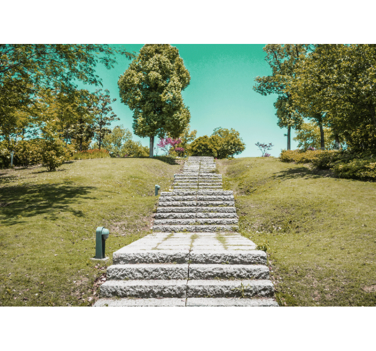 Natuur behang trap door de natuur - TenStickers