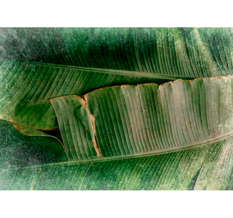 Fotobehang natuur vibrerende bladeren tiers - TenStickers