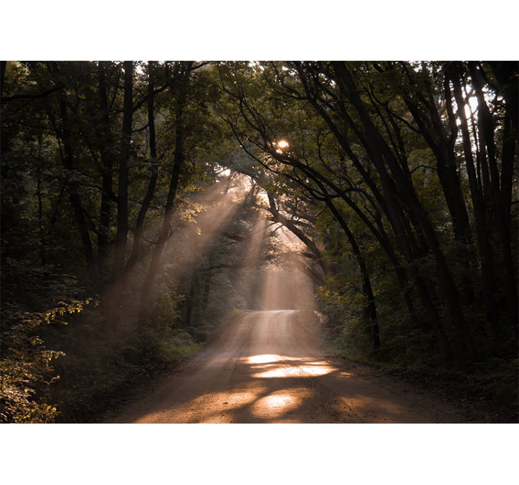Natuur behang stralend bospad - TenStickers
