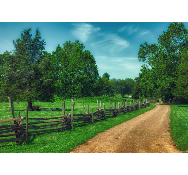 Fototapet landschap levendige groene wandelweg - TenStickers