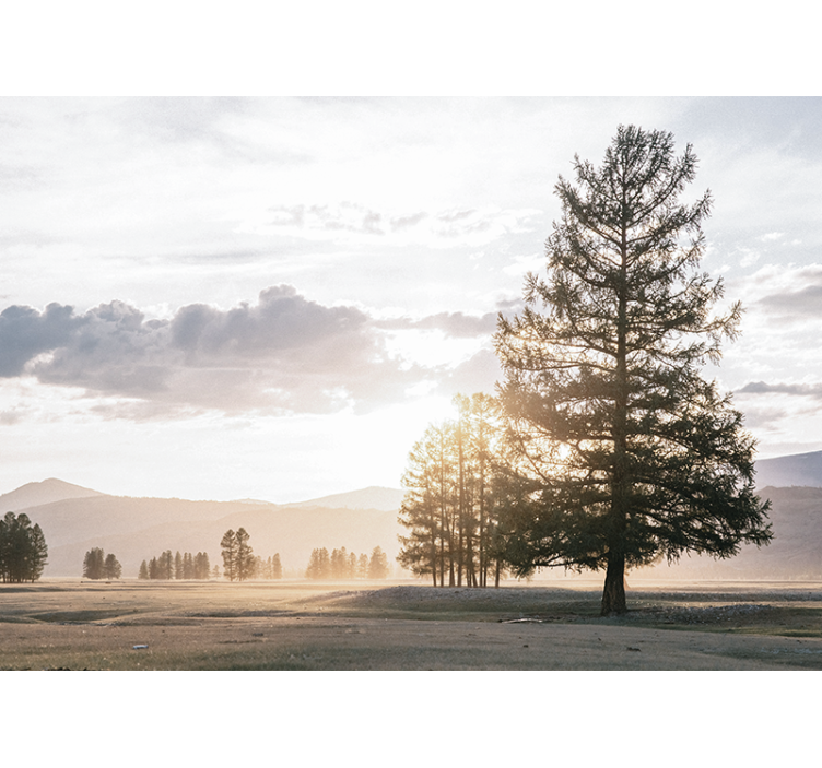 Fotobehang natuur serene den silhouet - TenStickers