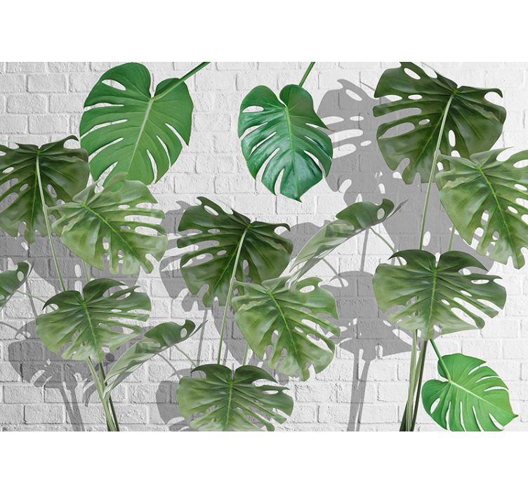 Natuur behang monstera blad arrangement - TenStickers
