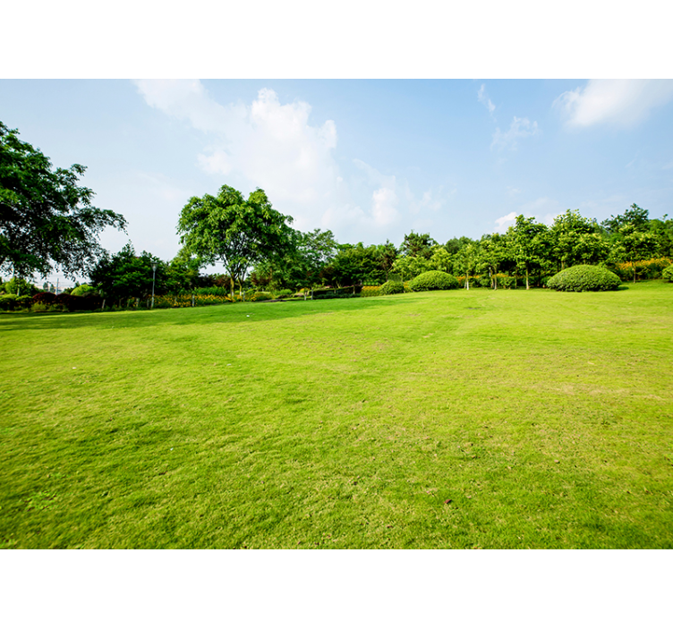 Groen weidepanorama fotobehang natuur - TenStickers