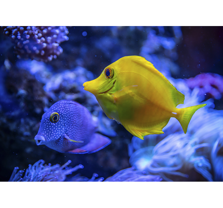 Scène met het waterleven foto behang dieren - TenStickers