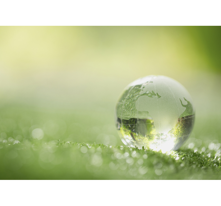 Fotobehang natuur wereld op gras - TenStickers