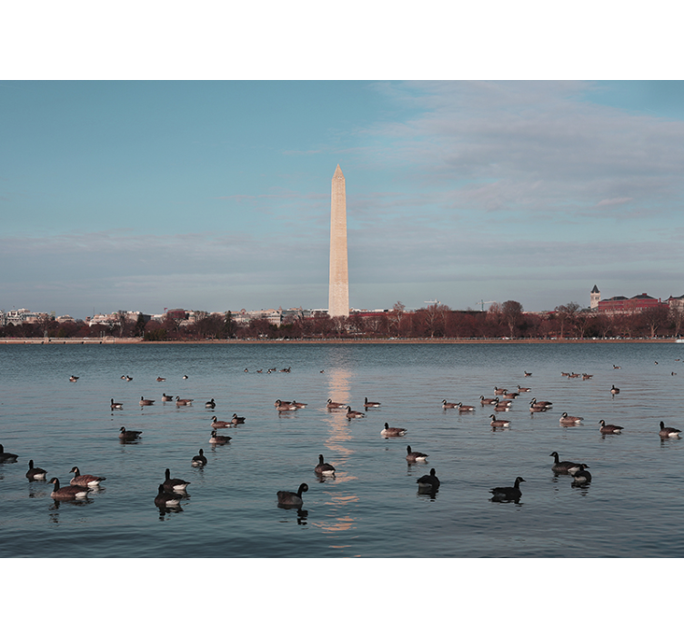 Fotobehang stad washington monument reflectie - TenStickers