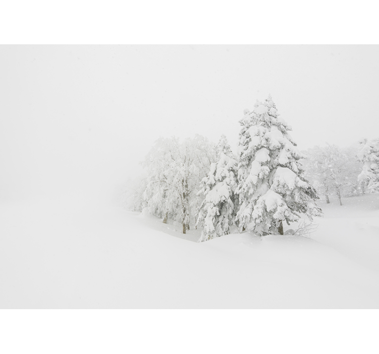 Fotobehang natuur winterse boslandschap - TenStickers
