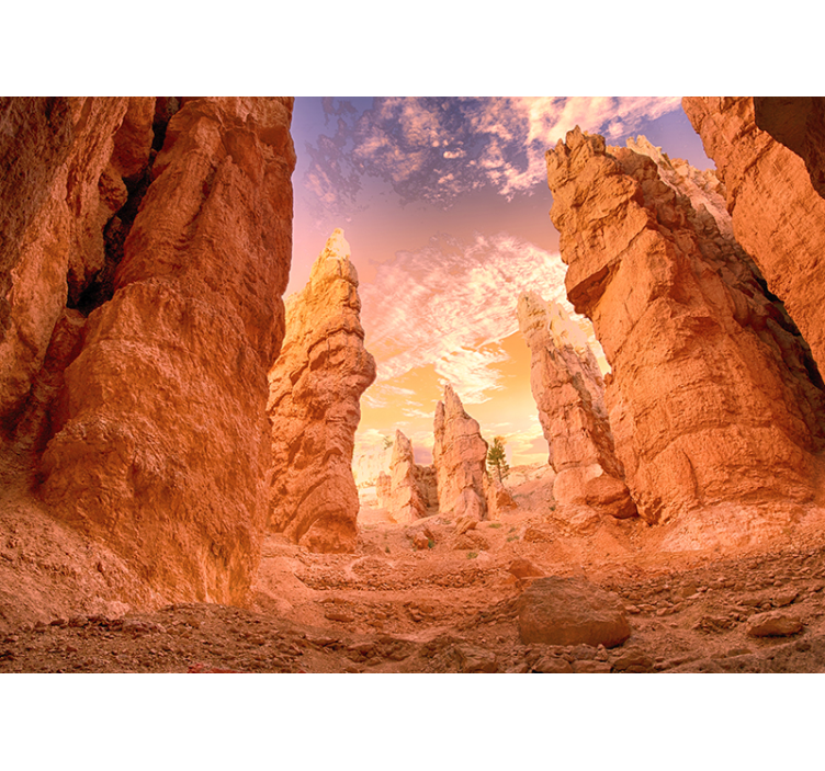 Rose Canyon desert fotobehang - TenStickers