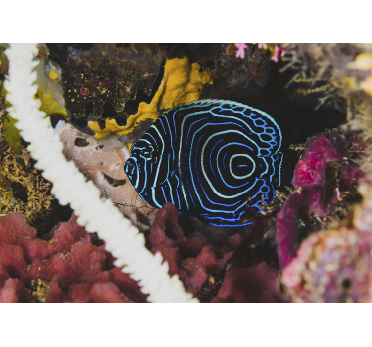 Foto behang dieren blauwe vissen patronen - TenStickers